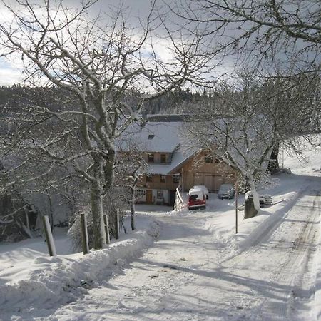 Sigmundenhof Lägenhet Schonach im Schwarzwald Exteriör bild