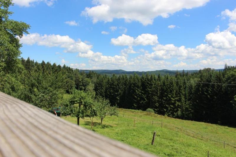 Sigmundenhof Lägenhet Schonach im Schwarzwald Exteriör bild