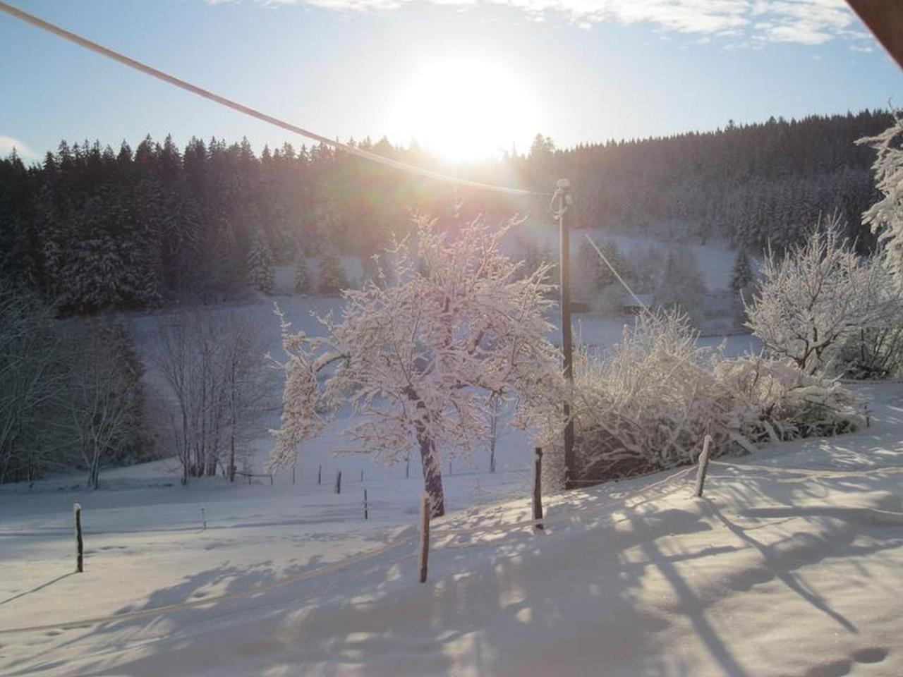 Sigmundenhof Lägenhet Schonach im Schwarzwald Exteriör bild