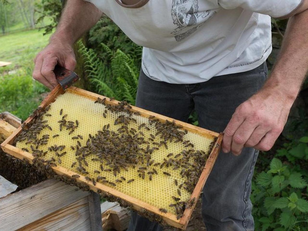 Sigmundenhof Lägenhet Schonach im Schwarzwald Exteriör bild